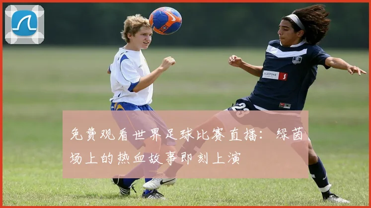 免费观看世界足球比赛直播:绿茵场上的热血故事即刻上演
